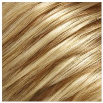 Gwyneth Wig by Jon Renau | Remy Human Hair (Hand Tied Lace Front Mono Top)