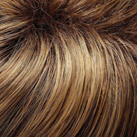 Top Crown Hair Addition Volumizer by Jon Renau | Synthetic (Monofilament Base)