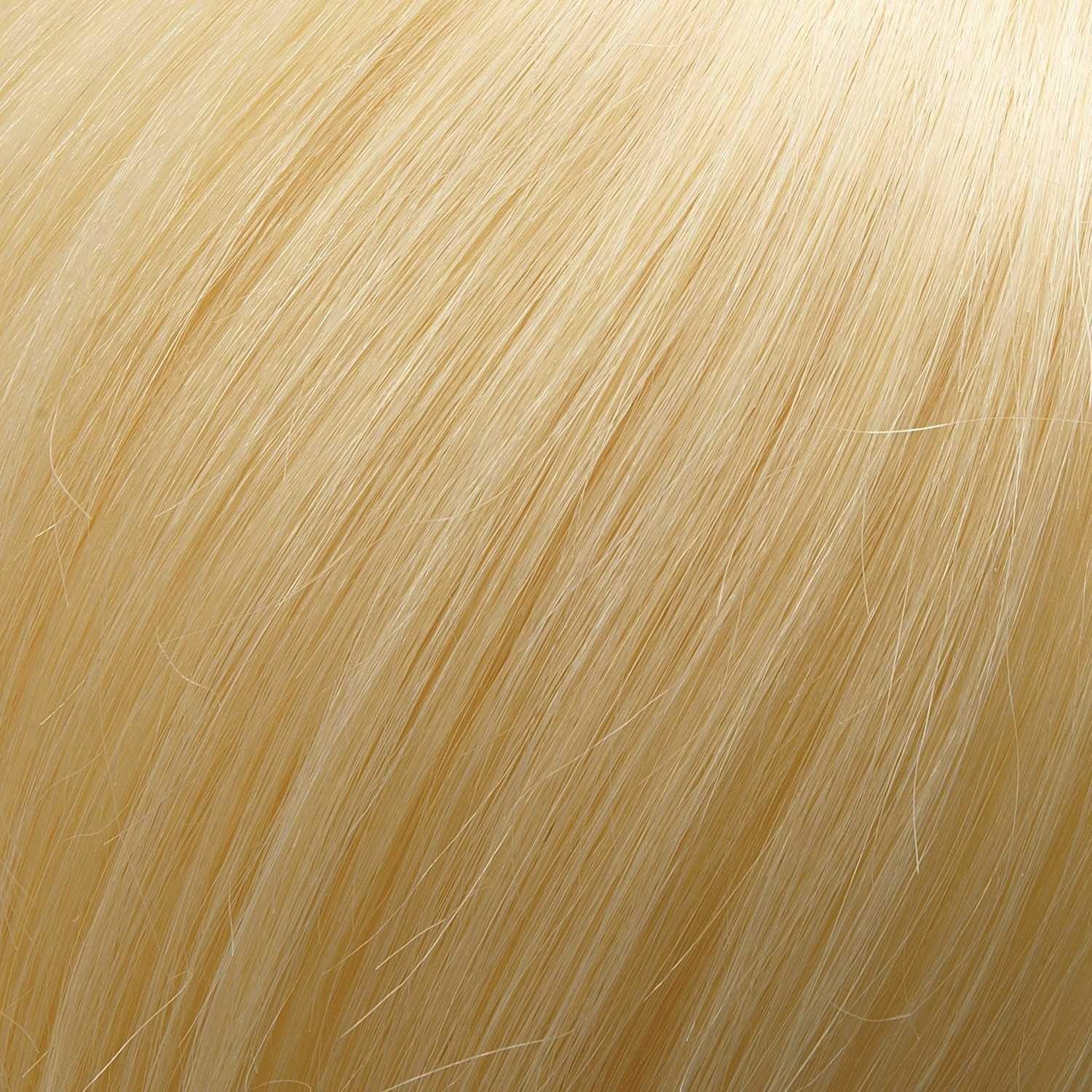 Top Form 12" Human Hair Addition (Renau Colors) by Jon Renau | 100% Remy Human Hair Piece (Monofilament Base)