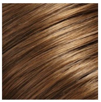 Gwyneth Wig by Jon Renau | Remy Human Hair (Hand Tied Lace Front Mono Top)