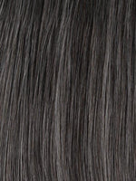 Sheer Elegance Wig by Gabor | Synthetic (Lace Front Traditional Cap)