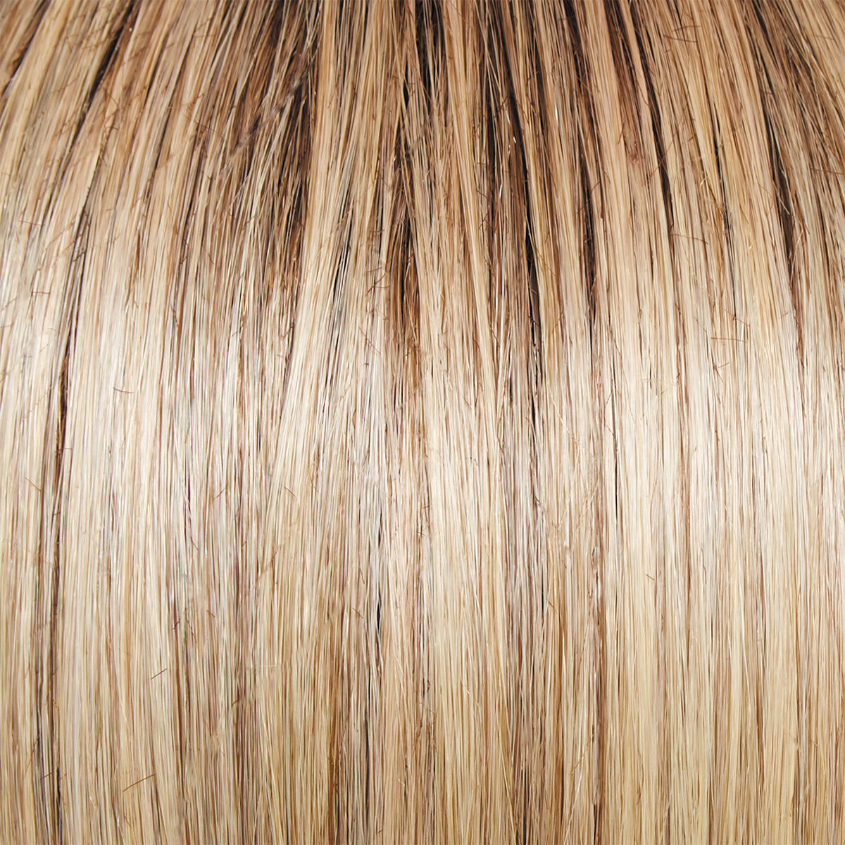 Monologue Wig by Raquel Welch | Heat Friendly Synthetic (Lace Front Mono)