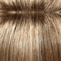 EasiPart XL 12" (Renau Colors) Hairpiece by easiHair |Human Hair (Monofilament Base) - Ultimate Looks