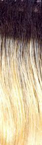 Allure Wig by Jon Renau | Synthetic (Traditional Cap) - Ultimate Looks