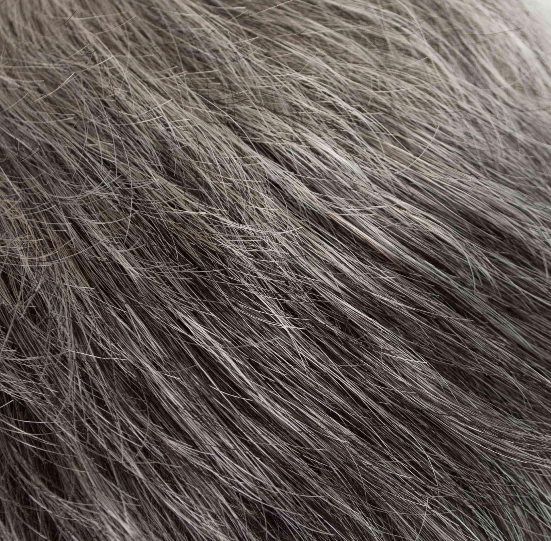 Ultra Petite Peg Wig by Tony of Beverly | Synthetic Wig (Traditional Cap) - Ultimate Looks