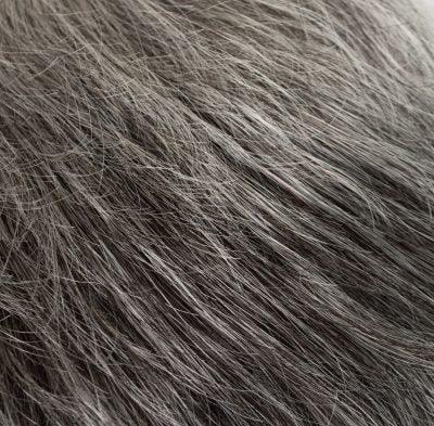 Petite Fina Wig by Tony of Beverly | Synthetic Wig (Traditional Cap) - Ultimate Looks