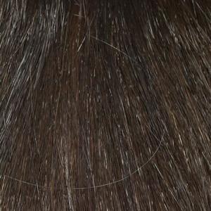 Abbey Wig by Envy | Heat Friendly/Human Hair Blend (Mono Top) - Ultimate Looks