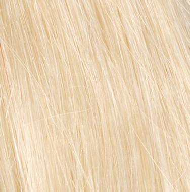 High Profile Wig by Raquel Welch | Human Hair (Lace Front Mono Top) - Ultimate Looks