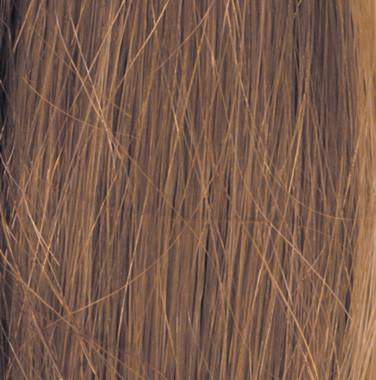 Grand Entrance Wig by Raquel Welch | Human Hair (Lace Front Mono Top) - Ultimate Looks