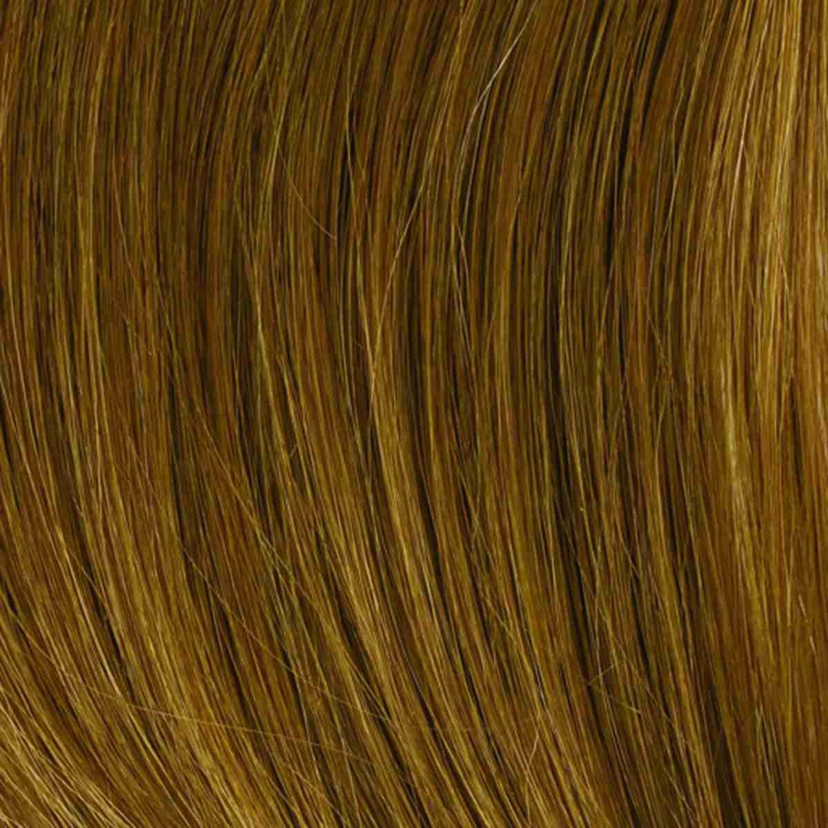 Grand Entrance Wig by Raquel Welch | Human Hair (Lace Front Mono Top) - Ultimate Looks