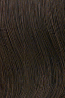 Clip On Pouf Wig by Hairdo | Synthetic (Wefted) - Ultimate Looks