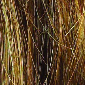 Stop Traffic Wig by Raquel Welch | Synthetic (Mono Crown) - Ultimate Looks