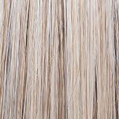 Wavy Day Wig by Raquel Welch | Synthetic Lace Front (Mono Top) - Ultimate Looks