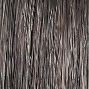 Wavy Day Wig by Raquel Welch | Synthetic Lace Front (Mono Top) - Ultimate Looks