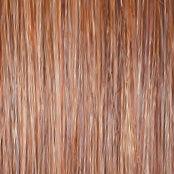 Wavy Day Wig by Raquel Welch | Synthetic Lace Front (Mono Top) - Ultimate Looks