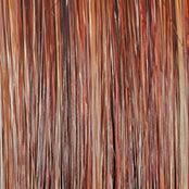 Wavy Day Wig by Raquel Welch | Synthetic Lace Front (Mono Top) - Ultimate Looks