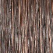 Wavy Day Wig by Raquel Welch | Synthetic Lace Front (Mono Top) - Ultimate Looks