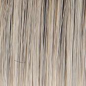 Wavy Day Wig by Raquel Welch | Synthetic Lace Front (Mono Top) - Ultimate Looks