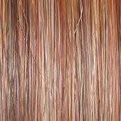 On The Cover Wig by Raquel Welch | Heat Friendly Synthetic (Lace Front Mono) - Ultimate Looks