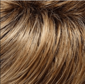 Carrie (Renau Colors) Wig by Jon Renau | Remy Human Hair  (Lace Front Mono Top)