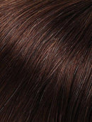 easiExtensions 16" by Jon Renau | 100% Human Hair Extension (Clip In)