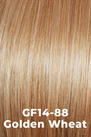 Best In Class Wig by Gabor | Heat Friendly Synthetic Lace Front