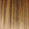 Soft and Subtle Average/Large Wig by Gabor | Synthetic (Lace Front Mono Part) - Ultimatelooks