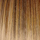 Buoyant Wig by Gabor | Synthetic (Lace Front)