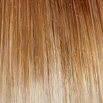 Bouncy Beauty Wig by Gabor | Synthetic (Lace Front Mono Part)