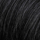 Style Elite Wig by HIM | Synthetic Lace Front (Mono Top)