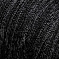 Style Elite Wig by HIM | Synthetic Lace Front (Mono Top)