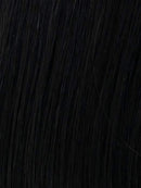 Style Elite Wig by HIM | Synthetic Lace Front (Mono Top)