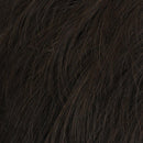 Daring Elite Wig by HIM | Synthetic Lace Front (Mono Top)