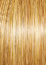 Elation Wig by Gabor | Heat Friendly Synthetic (Basic Cap)