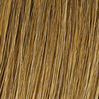 Chart Topping Topper by Raquel Welch | Human Hair (Hand-Tied)