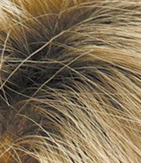 Ember Wig by Estetica Designs | Synthetic (Lace Front)