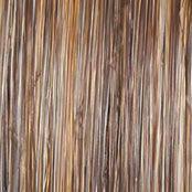 Runway Rehearsal Topper by Raquel Welch | Lace Front (Monofilament)