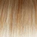 Simply Flawless Wig by Gabor | Synthetic (Lace Front Mono Part)