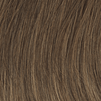Own The Room Luxury Wig by Gabor | Synthetic Lace Front