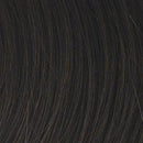 Exhilaration Wig by Gabor | Heat-friendly Synthetic Hair