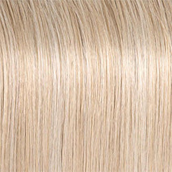 Take A Bow Wig by Raquel Welch | Heat Friendly Synthetic (Lace Front Mono)