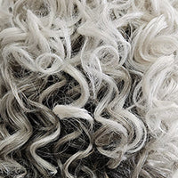 Runway Rehearsal Topper by Raquel Welch | Lace Front (Monofilament)