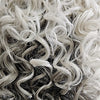 Monologue Wig by Raquel Welch | Heat Friendly Synthetic (Lace Front Mono) - Ultimatelooks