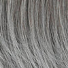 Steal the Show Wig by Raquel Welch | Synthetic (Lace Front Mono) - Ultimatelooks