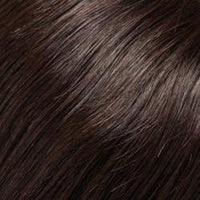 Top Form 6-8" Human Hair Addition (Renau Colors) by Jon Renau | 100% Remy Human Hair Piece (Monofilament Base) - Ultimate Looks