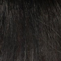 Raven Wig by Envy | Synthetic (Lace Front) - Ultimate Looks