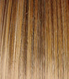 Best In Class Wig by Gabor | Heat Friendly Synthetic Lace Front