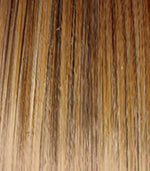 Best In Class Wig by Gabor | Heat Friendly Synthetic Lace Front