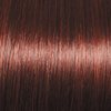 Timeless Beauty | Synthetic Wig (Traditional Cap) - Ultimate Looks