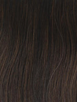 Best In Class Wig by Gabor | Heat Friendly Synthetic Lace Front